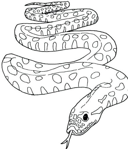 Online coloring book: Coloring page anaconda with tongue
